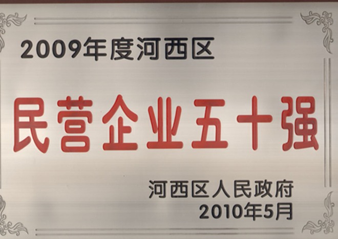 2009年度河西区民营企业五十强